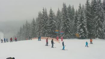 Буковель 10 січня 2022 року, 2022-01-10 10:00