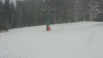Буковель 17 січня 2022 року, 2022-01-17 13:00