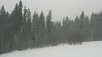 Буковель 20 січня 2022 року, 2022-01-20 13:00