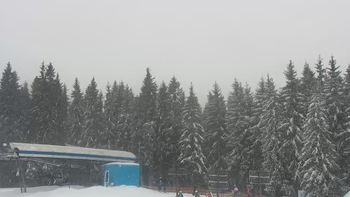 Буковель 23 січня 2022 року, 2022-01-23 13:00