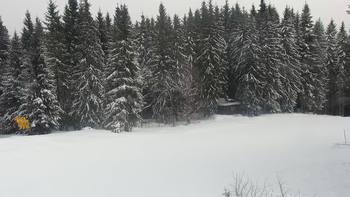 Буковель 25 січня 2022 року, 2022-01-25 10:00