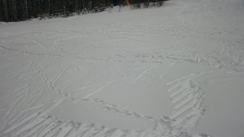Буковель 25 січня 2022 року, 2022-01-25 13:00