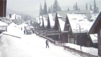 Буковель 22 січня 2019 року, 2019-01-22 10:00