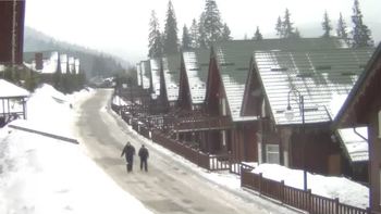 Буковель 11 лютого 2019 року, 2019-02-11 13:00