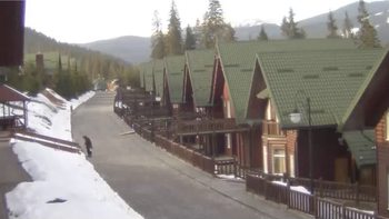 Буковель 26 березня 2020 року, 2020-03-26 16:00