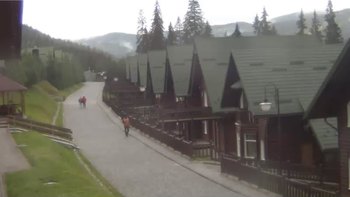 Буковель 17 жовтня 2020 року, 2020-10-17 13:00