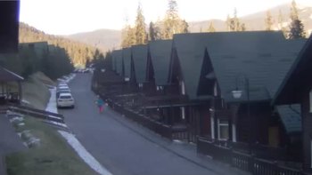 Буковель 2 січня 2021 року, 2021-01-02 13:00
