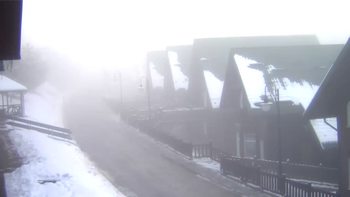 Буковель 11 грудня 2021 року, 2021-12-11 13:00
