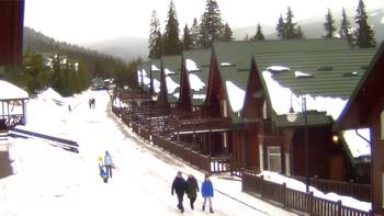 Буковель 4 січня 2022 року, 2022-01-04 10:00