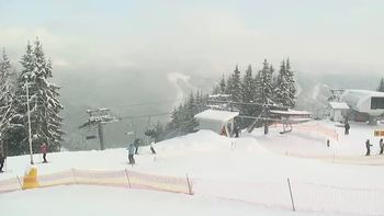 Буковель 9 січня 2019 року, 2019-01-09 13:00