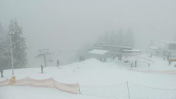 Буковель 20 січня 2019 року, 2019-01-20 16:00