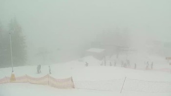 Буковель 29 січня 2019 року, 2019-01-29 13:00
