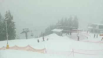Буковель 31 січня 2019 року, 2019-01-31 10:00
