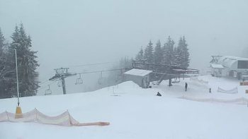 Буковель 11 лютого 2019 року, 2019-02-11 16:00
