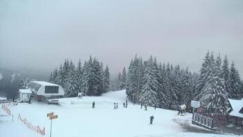 Буковель 24 грудня 2019 року, 2019-12-24 16:00