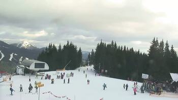 Буковель 11 січня 2020 року, 2020-01-11 13:00