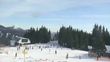 Буковель 13 січня 2020 року, 2020-01-13 13:00