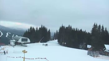 Буковель 20 січня 2020 року, 2020-01-20 16:00