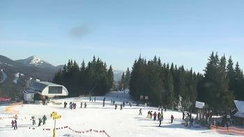 Буковель 24 січня 2020 року, 2020-01-24 13:00