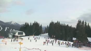 Буковель 27 січня 2020 року, 2020-01-27 13:00