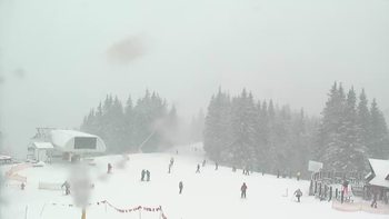 Буковель 29 січня 2020 року, 2020-01-29 13:00