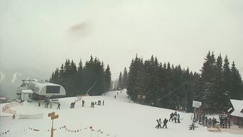 Буковель 31 січня 2020 року, 2020-01-31 10:00