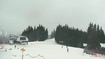 Буковель 1 лютого 2020 року, 2020-02-01 16:00