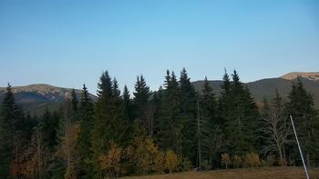 Буковель 27 жовтня 2020 року, 2020-10-27 16:00