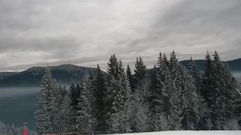 Буковель 8 грудня 2020 року, 2020-12-08 16:00