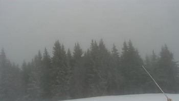 Буковель 10 грудня 2020 року, 2020-12-10 10:00
