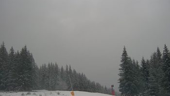 Буковель 7 січня 2021 року, 2021-01-07 16:00