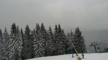 Буковель 17 січня 2021 року, 2021-01-17 13:00