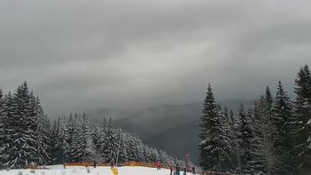 Буковель 29 січня 2021 року, 2021-01-29 13:00
