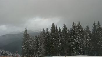 Буковель 29 січня 2021 року, 2021-01-29 16:00