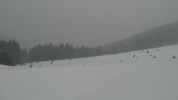 Буковель 11 лютого 2021 року, 2021-02-11 16:00