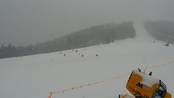 Буковель 23 березня 2021 року, 2021-03-23 10:00