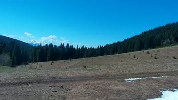 Буковель 12 травня 2021 року, 2021-05-12 10:00