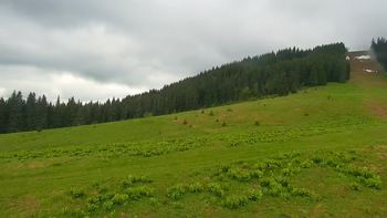 Буковель 1 червня 2021 року, 2021-06-01 13:00