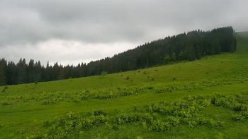 Буковель 15 червня 2021 року, 2021-06-15 13:00