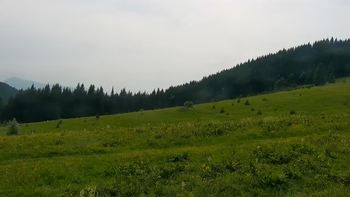 Буковель 30 червня 2021 року, 2021-06-30 13:00