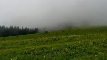 Буковель 4 липня 2021 року, 2021-07-04 16:00