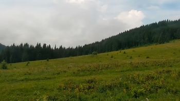 Буковель 19 липня 2021 року, 2021-07-19 10:00