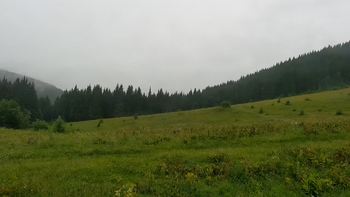 Буковель 20 липня 2021 року, 2021-07-20 10:00