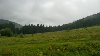 Буковель 20 липня 2021 року, 2021-07-20 16:00