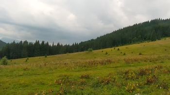 Буковель 29 липня 2021 року, 2021-07-29 13:00