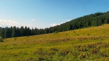 Буковель 30 липня 2021 року, 2021-07-30 10:00