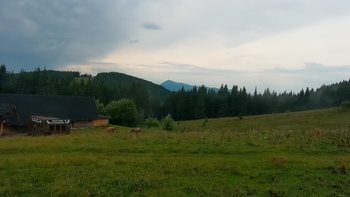 Буковель 9 серпня 2021 року, 2021-08-09 10:00