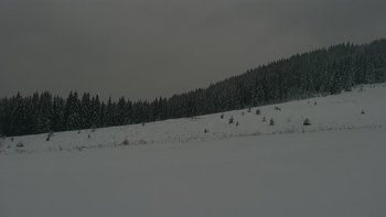 Буковель 7 грудня 2021 року, 2021-12-07 16:00
