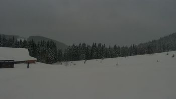 Буковель 20 грудня 2021 року, 2021-12-20 10:00