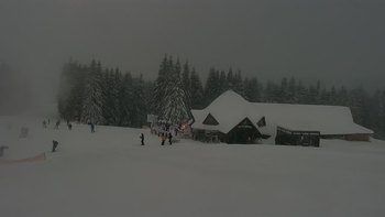 Буковель 21 грудня 2021 року, 2021-12-21 16:00